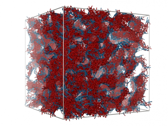 Numerical simulation of cement hydrate gels