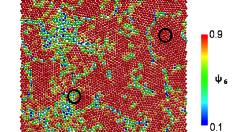 Local ordering of nanoparticles from numerical simulations