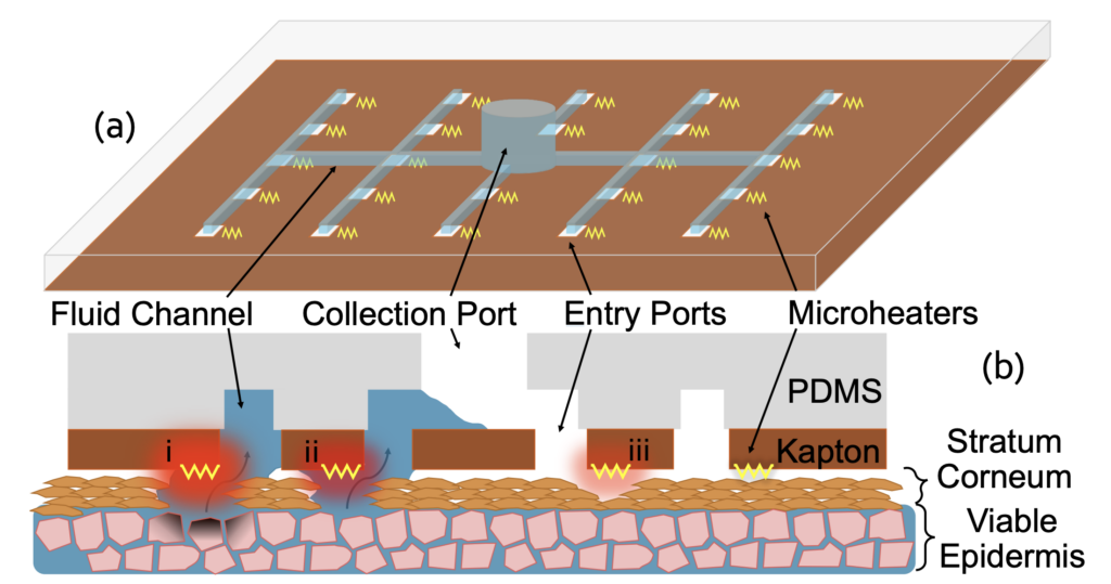 Device schematic in (a) 3D and (b) cross-sectional views.