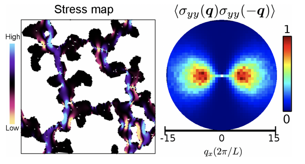 Snapshot of 2D gel network showing yy-component of particle stresses (left). Spatial correlation of stress for gels shown in Fourier space (right).