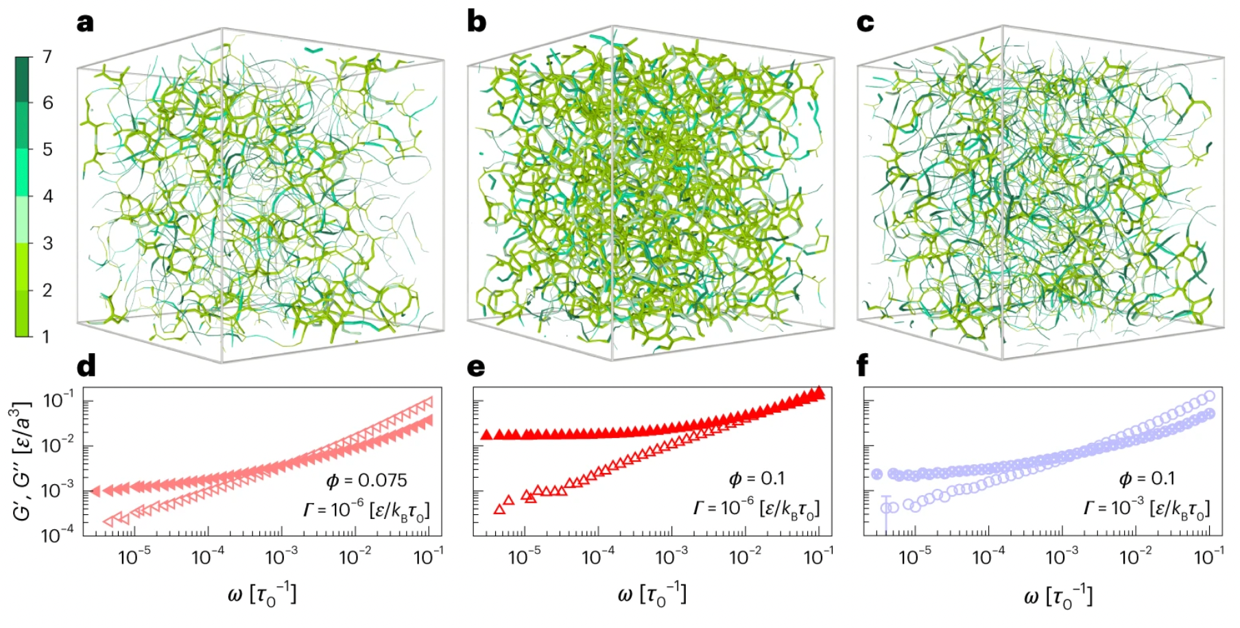 Simulation of gel bond networks