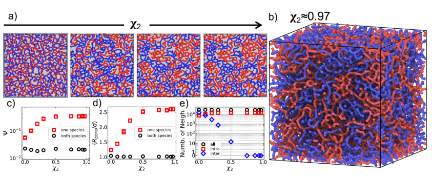 PNAS Publication Gel Structure