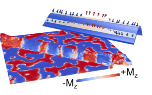 X-ray nanotomography of a curved magnetic thin film with perpendicular anisotropy reveals curvature-induced modifications in the magnetic configuration.