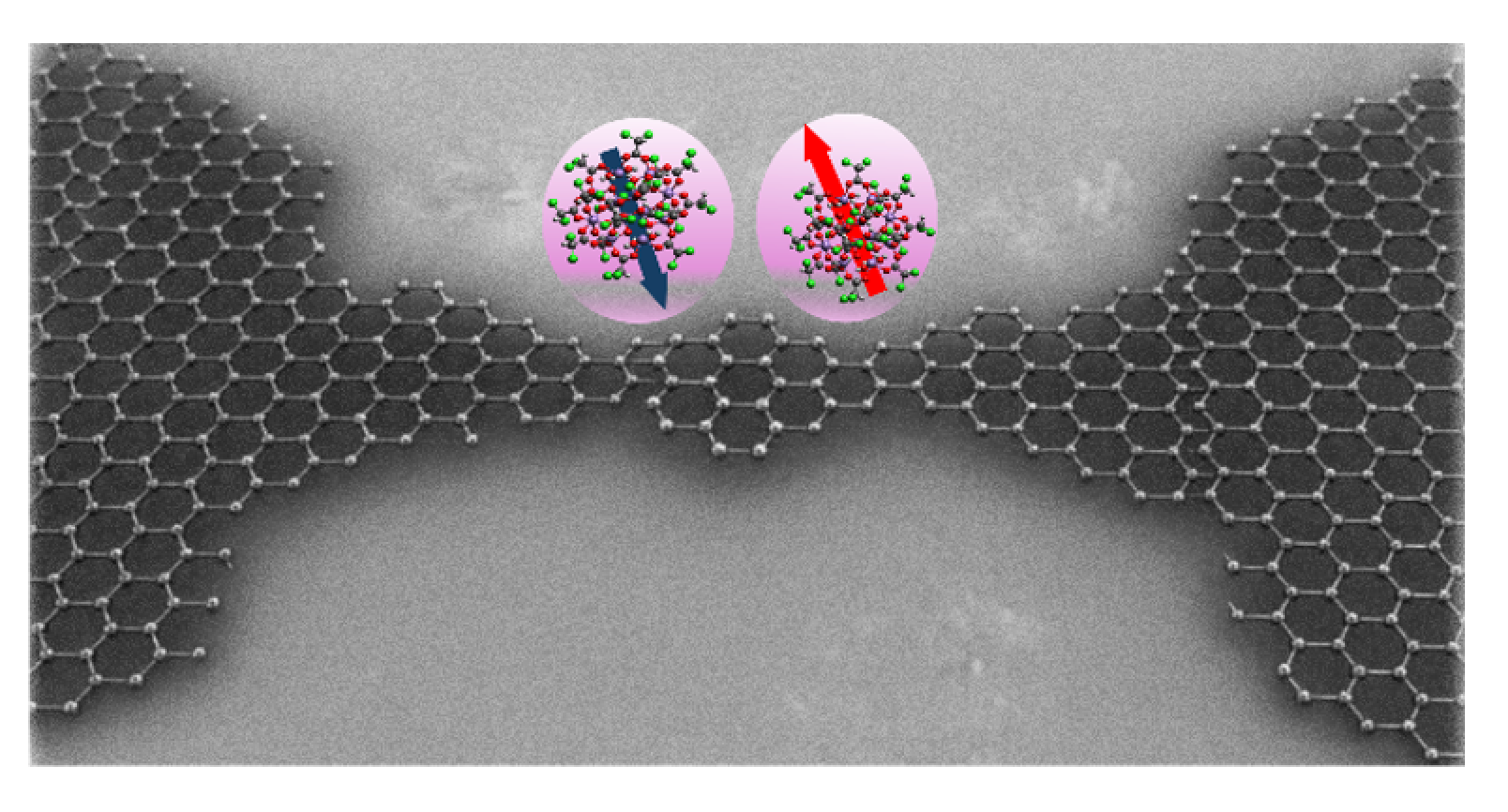 Single-molecule magnets on a graphene quantum device